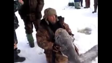 Рибар извади късмет в река Ока - Русия 2013