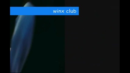 winx club-a never ending dream