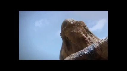 Last Killers - Planet Dinosaur part 2