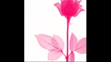za nai-blizkite mi fr