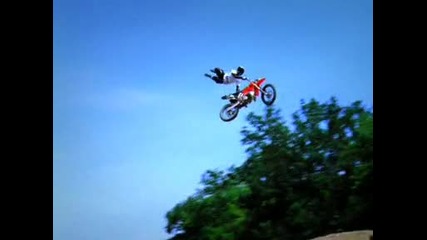 Forster Bischof-fmx 1_1