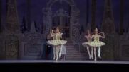 "Лешникотрошачката" се завърна на сцената на Кралската опера в Лондон (ВИДЕО)