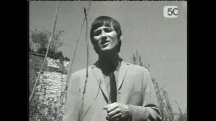 Crispian St Peters - You Were On My Mind 