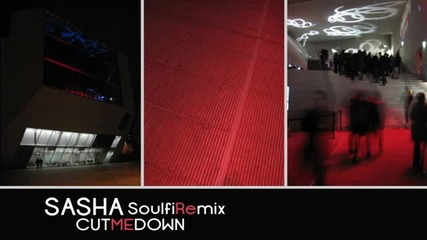 Sasha - Cut Me Down (soulfire Remix)