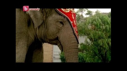 Принцесата на слоновете епизод 2/част 3 