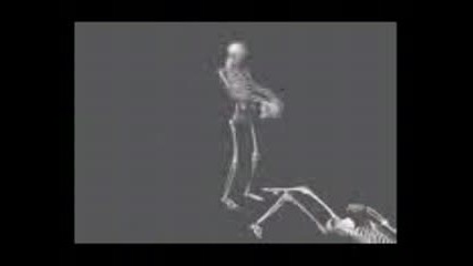 Скелет !!