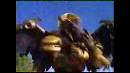 Pawer Ranger