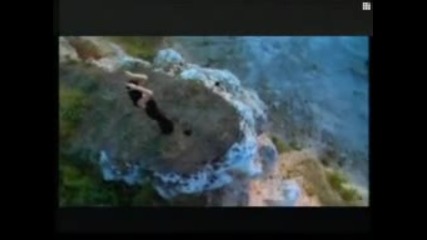 Aneliq-chujdi ustni