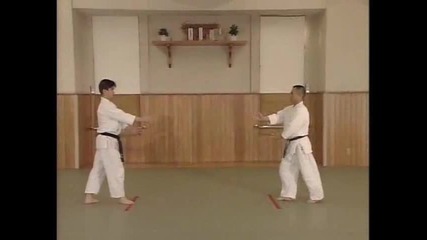 Йошикан Айкидо / Yoshikan Aikido - всички основни техники - Йонка - джо {част3} 