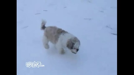 Most Awesome Ice Fails 