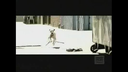 Bon Jovi - Its My Life