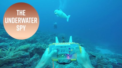 The mesmerizing underwater robot spy