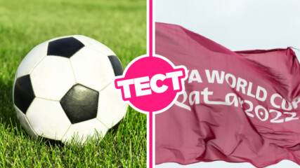 ТЕСТ: Знаеш ли тези любопитни факти за Световното първенство в Катар?