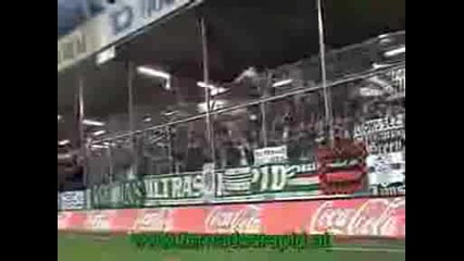 Pasching Vs Rapid By Tornados Rapid