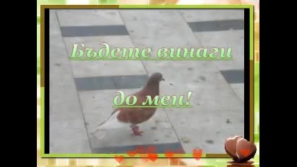 Oт Ани Чуканска!