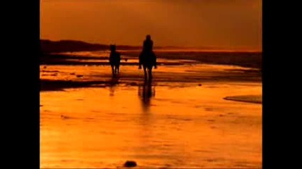 Enya - Shore