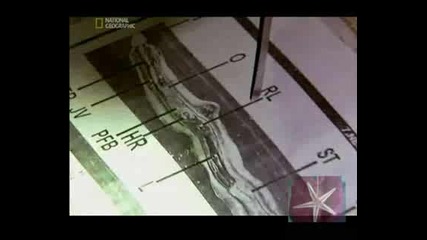 ! Тайните На Кралската Кобра - 4
