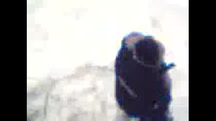 crazy freaks 1/2 