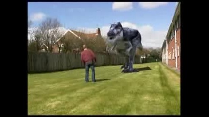 alternate T - rex Fx test