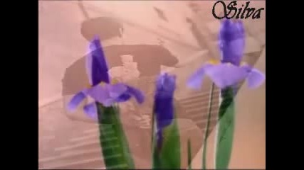 Тоника - Очакване за пролет