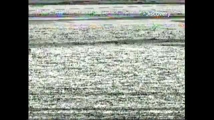 Унищожени за секунди - Епизод 20 Бг Аудио