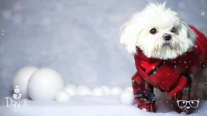 12 Days of Milo_ The Snowman