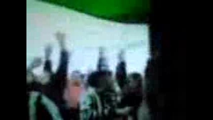 loko pd