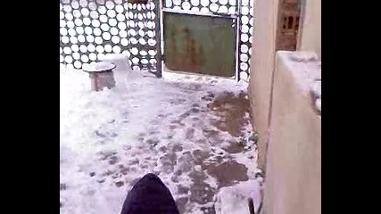 Видео - 00031