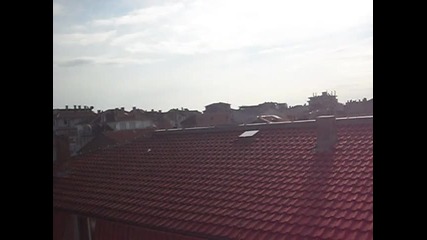 Sam_2304