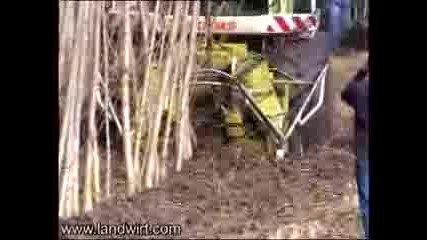 Комбайн за смилане на дървесина Claas - JAGUAR Wood chopping