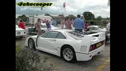 White Ferrari F40 & 288 Gto