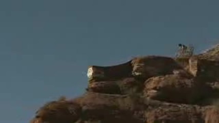 tiya sa malko ludi.avi.flv