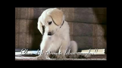 Abf