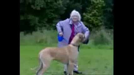 Баба летец (има и куче ... представи си...) :d 