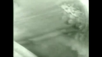 2pac Feat. Dmx - They Don T Know [video Remix By Svetlio]