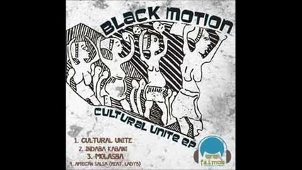 Black Motion - African Salsa ft. Ladyb