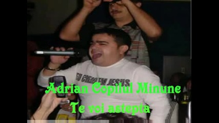 Adrian Copilul Minune - Te voi astepta