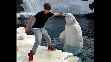 justin biber