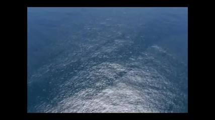Красотата от Света 