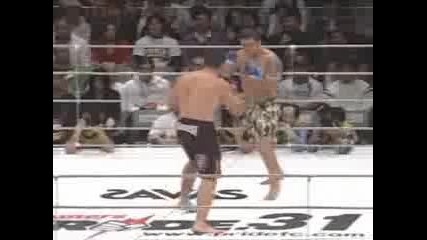 Fedor Emelianenko Fighting