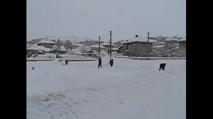 снегопочистване - 8.02.10