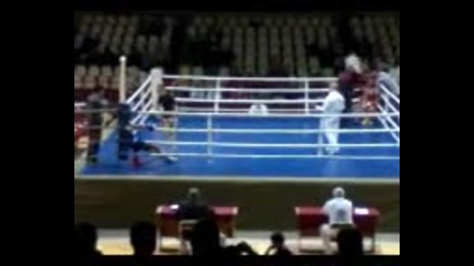 kupa bulgaria levski sofia boxing 
