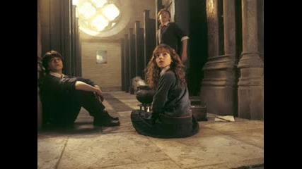 Harry Potter - Apologize 2