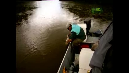 River Monsters - Cannibal Piranha 