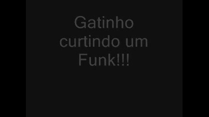 Gatinho Curtindo um Funk