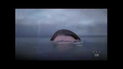 Greys Anatomy(season 4-episode15-16)