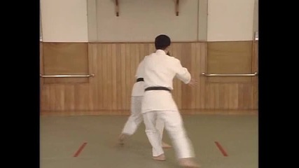 Йошикан Айкидо / Yoshikan Aikido - всички основни техники - Йонка - джо {част2} 