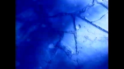 Нелина - Вместо сбогом (1998)