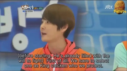 Shinee king chicken