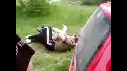 антон дивака и невен
